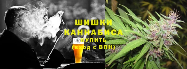 СК Бронницы