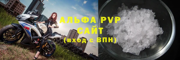 СК Бронницы