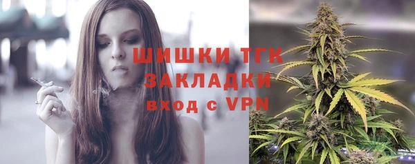 СК Бронницы